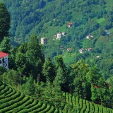 turkey-rize-mountains-nature-trees-turtsiia-rize-gory-prirod