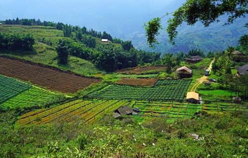 vietnam-fields-nature-sky-trees-vetnam-polia-priroda-nebo-de.jpg