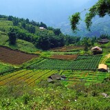 vietnam-fields-nature-sky-trees-vetnam-polia-priroda-nebo-de