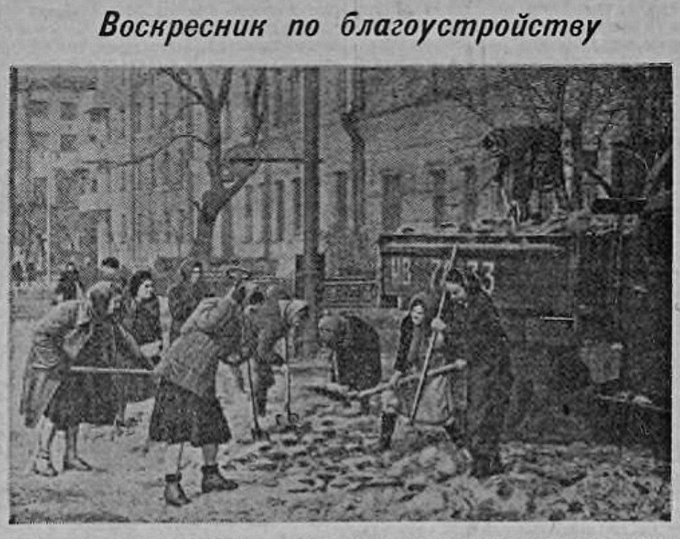 https://e.radikal.host/2024/12/12/FVOSKRESNIK.jpg