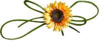 oie_transparent-5.png