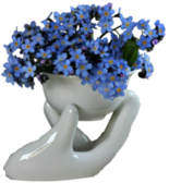 oie_transparent-3.png