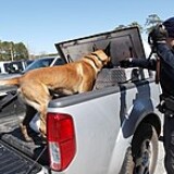 220px-Health-and-comfort_inspection_reveals_contraband_130304-M-IY869-234.th.jpg