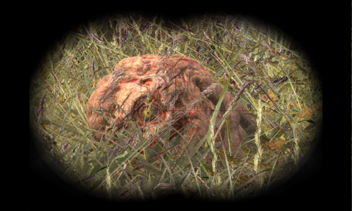 Sky Renewal Mod 5