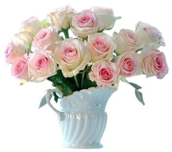 oie_0PJtt1ze8W2t-Photorooma79eedfb2d5f405d.png