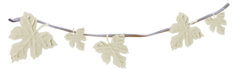oie_9154240Nj6dNVWX.png