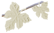 oie_transparent-8.png