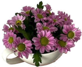oie_transparent-9.png