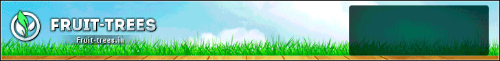 Экономическая игра
