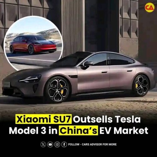 https://e.radikal.host/2025/02/28/photo_2025-02-28_01-13-59.md.jpg