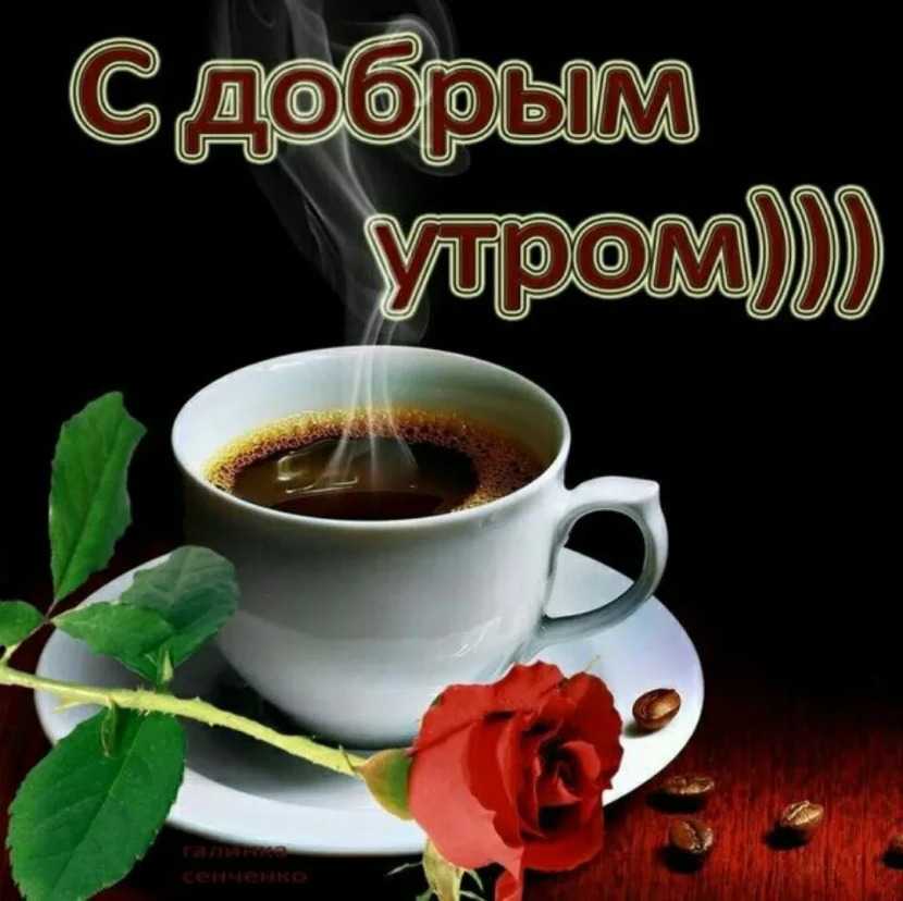 1676997555_bronk-club-p-otkritka-dobroe-utro-krasavitsa-krasivo-10.webp