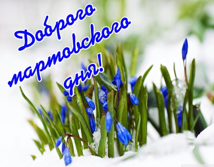 dobroe-martovskoe-utro-190323-3.jpg
