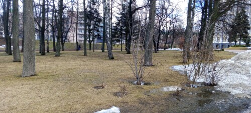 IMG 20250307 151111 132