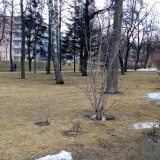 IMG_20250307_151111_132