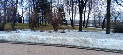 IMG_20250307_151421_348.jpg