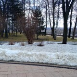 IMG_20250307_151421_348