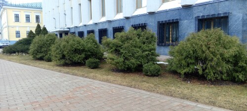 IMG_20250307_151532_739.jpg