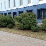 IMG_20250307_151532_739