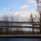 IMG_20250307_162056_317