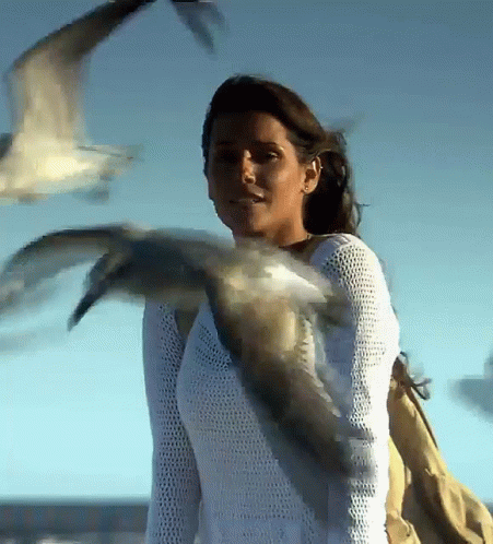 https://e.radikal.host/2025/03/23/birds-flying.gif