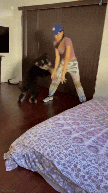 https://e.radikal.host/2025/04/04/9ppjur-1.gif
