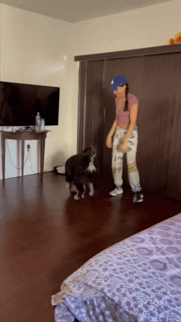 https://e.radikal.host/2025/04/04/9ppjzo-1.gif