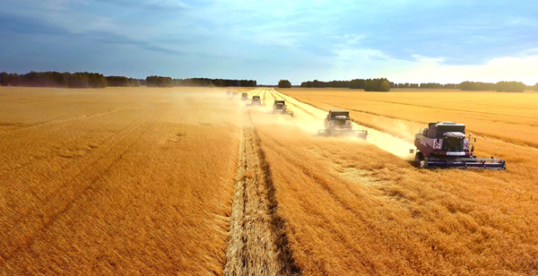 AGRO538d7d81bedbd282.png
