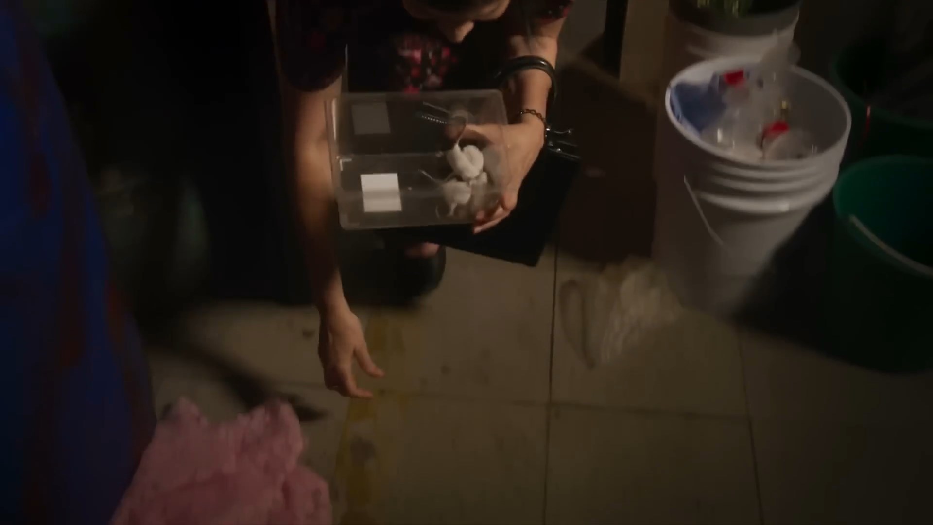 https://e.radikal.host/2025/04/04/Roseta-y-Alfonso-triunfan-con-la-reapertura-del-Tropicaloso-_-El-precio-de-amart.mp4_snapshot_00.11.296.jpg