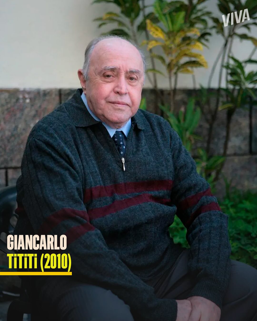 https://e.radikal.host/2025/04/04/canalviva_1743662111604.jpg