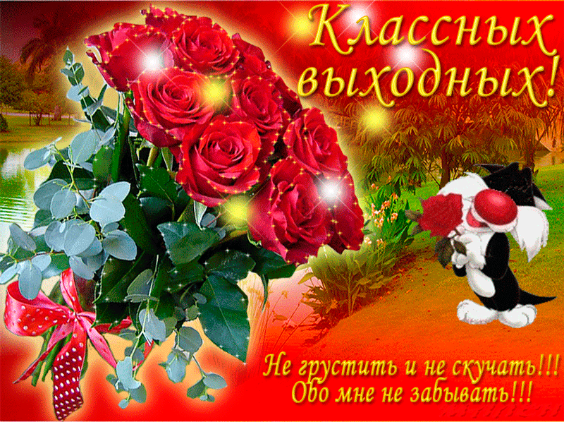 8900b9d3b477d44635bb02f96f20a0ec.gif