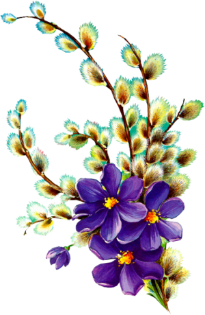 23070461_2c28dbb7f212.png