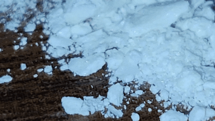 GIF_20250413_081845_766.gif