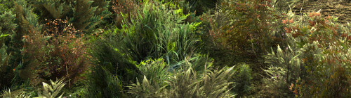 3a2240eae013503f9.jpg