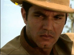 https://e.radikal.host/2025/04/16/SEKRET-TROPIKANKI4.gif