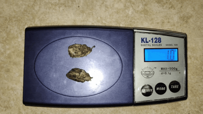 GIF_20250418_124805_440.gif