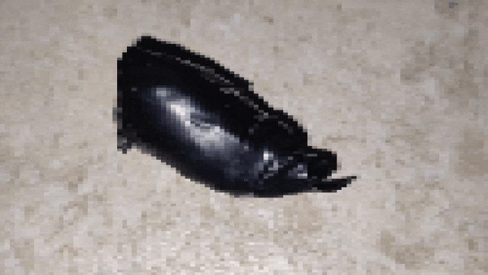 GIF_20250418_125458_677.gif