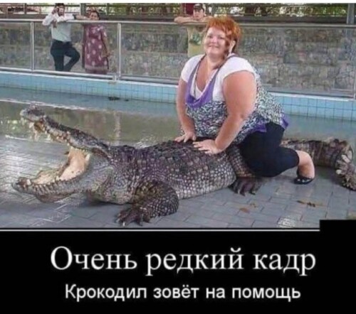 image-1.md.jpg