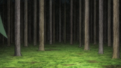 https://e.radikal.host/2025/05/01/250px-Eterna_Forest_PG.png