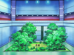 https://e.radikal.host/2025/05/01/250px-Eterna_Gym_field.png
