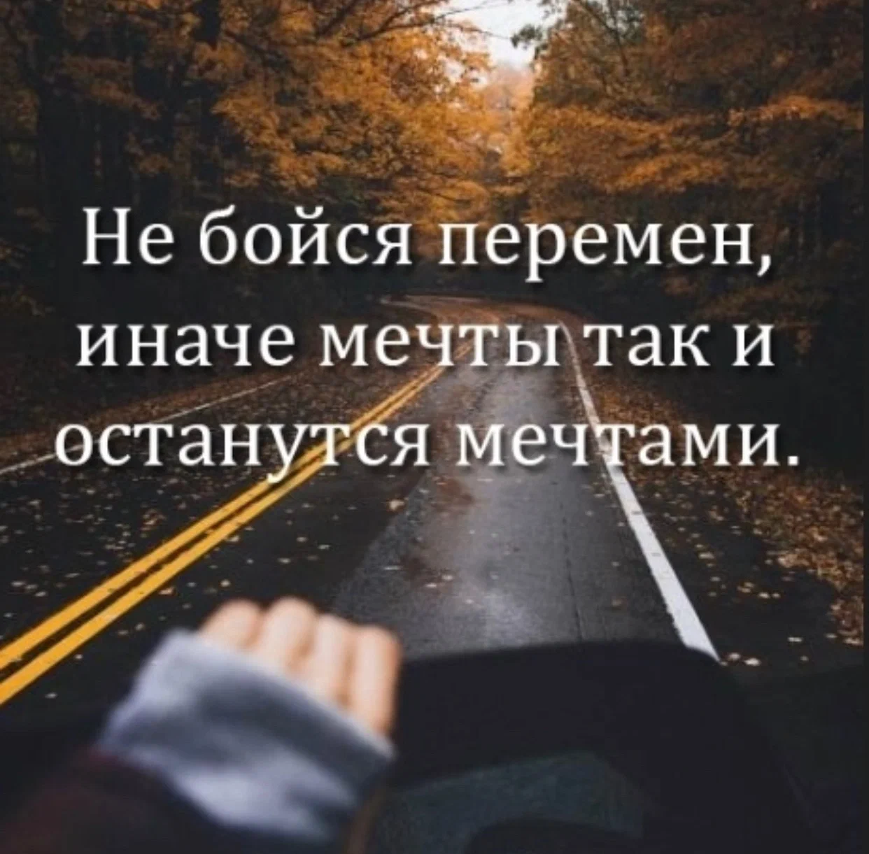 orig.webp