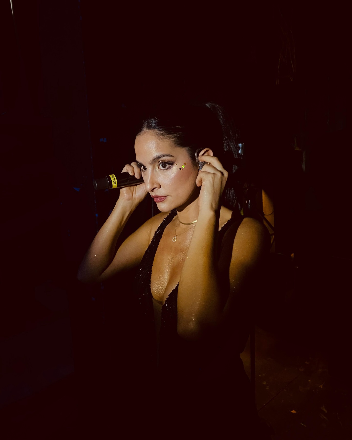 https://e.radikal.host/2025/05/08/dianahoyosmusic_1745310223158.jpg