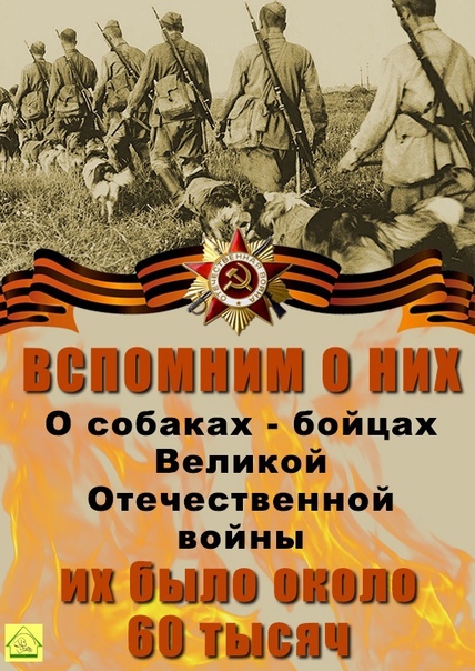 eKZbzt83E-I.jpg