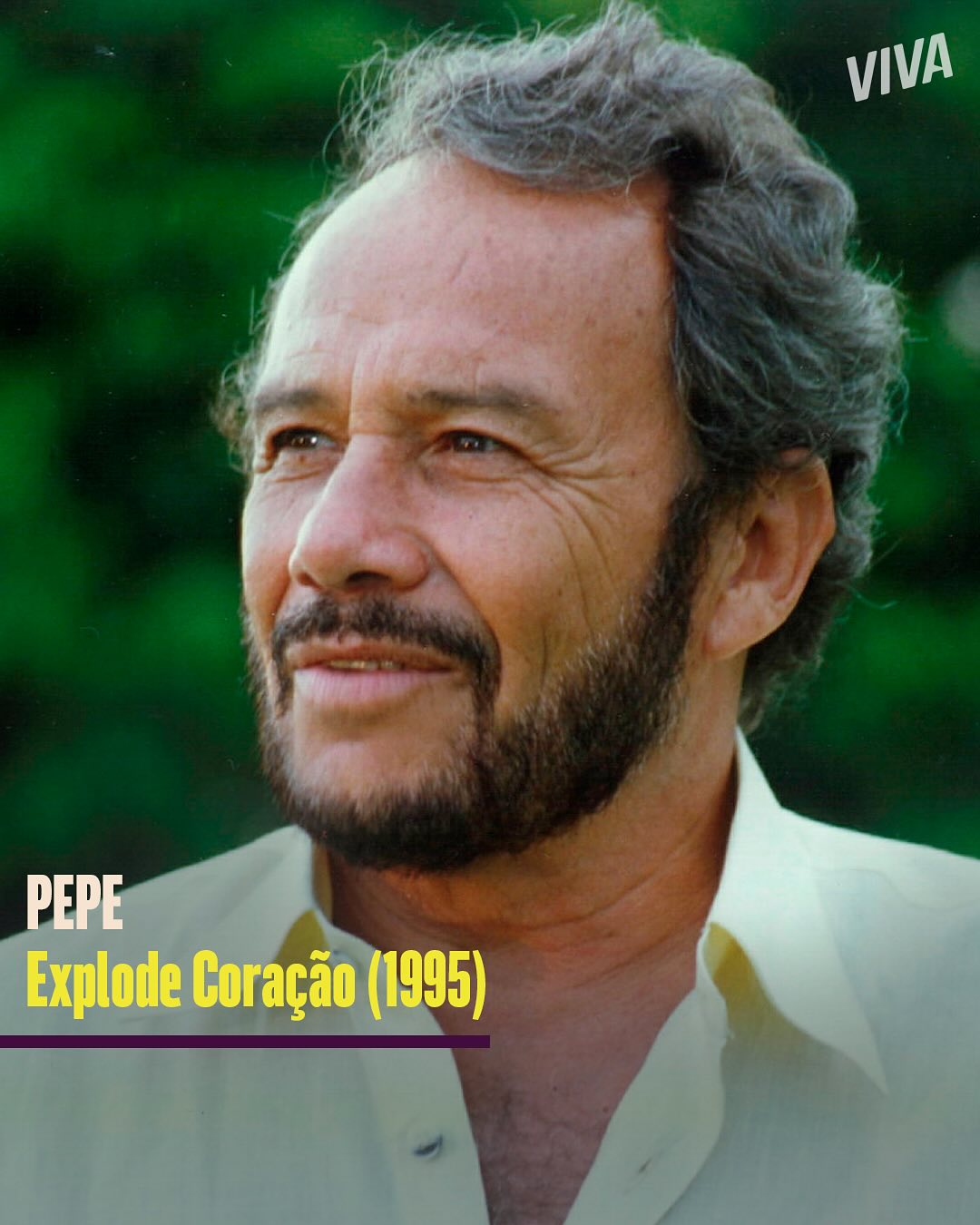 https://e.radikal.host/2025/05/16/canalviva_1745921471040.jpg