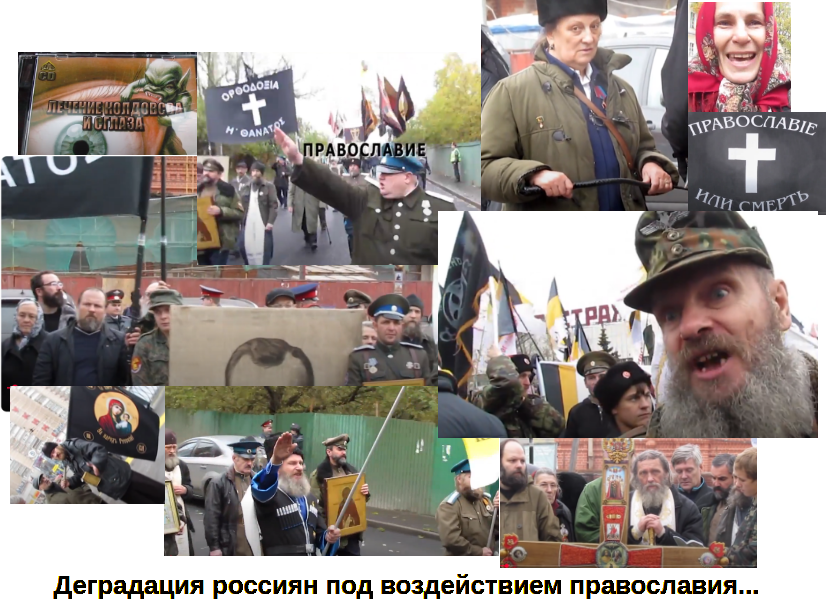 image5bd87d31dc968b13.png