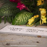 https://e.radikal.host/2025/05/20/IMG_7712.th.png
