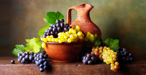 VINOGRAD.png