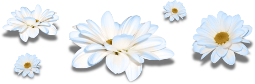 13082024_KRIZANT1-2.png