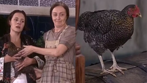 https://e.radikal.host/2025/05/23/carijo.md.jpg