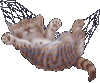 4933117_1192354961_k_25.gif