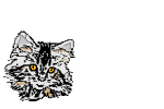 4933121_1192354976_k_27.gif